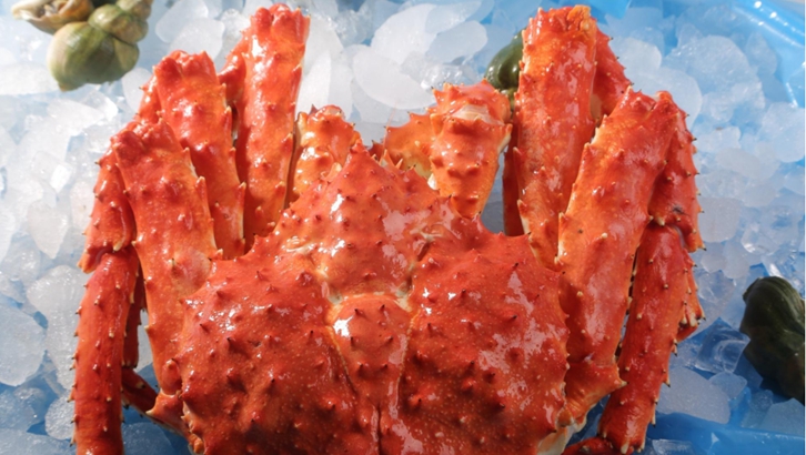 上海進(jìn)口挪威帝王蟹報關(guān)資料