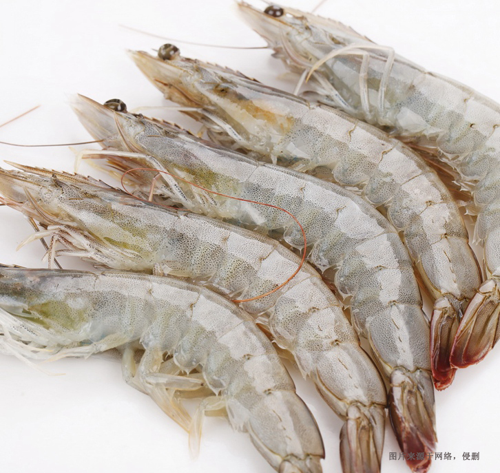 厄瓜多爾南美白蝦進口清關(guān)資料