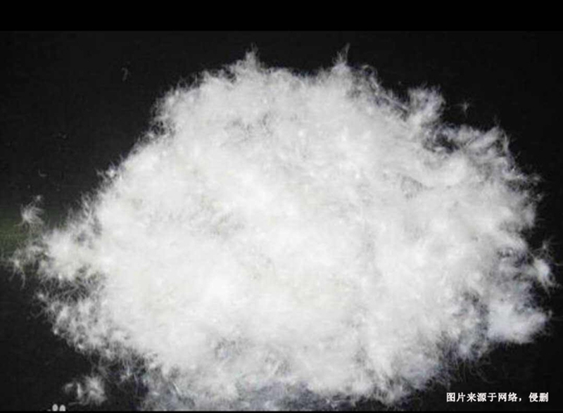 1699003311575403.jpg 越南水洗鴨絨進口清關流程到上海外高橋海運案例1.jpg